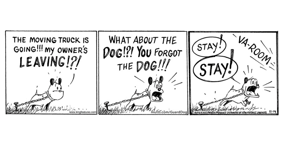 Sunday Comics | Guard Dog from ‘Mutts’ is finally free